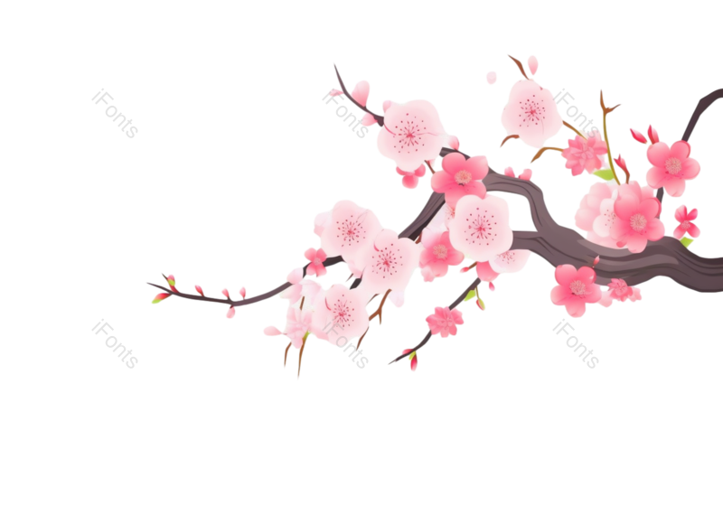 叶子图片,装饰元素,元素PNG,清新免抠素材